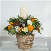 Vixen - white PRE ORDER