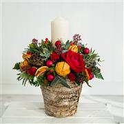 Vixen - red  PRE ORDER