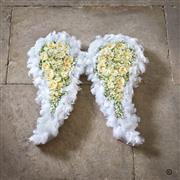 Graceful angel wings