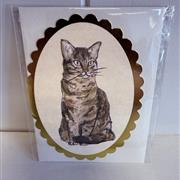 Mini card Tabby cat