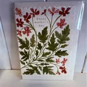 Happy Mothers Day geranium 
