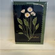Birthday wishes black daisy 