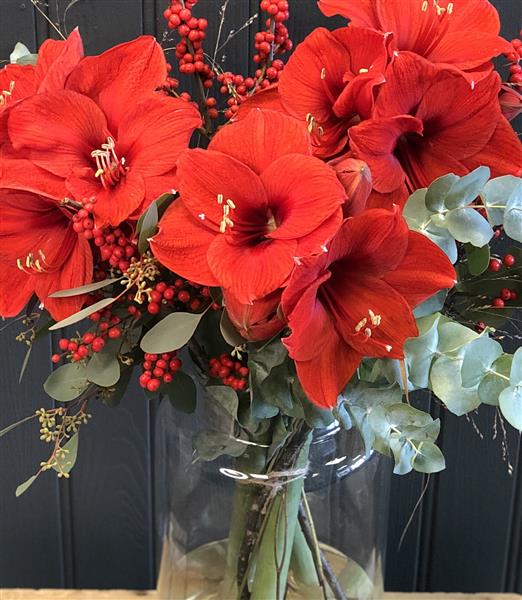 Amaryllis Vase
